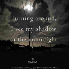 In The Moonlight - (naviarhaiku526)