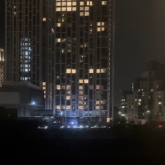 francis forever (cover)