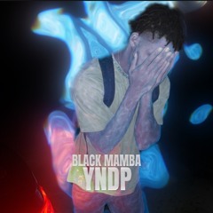Black Mamba