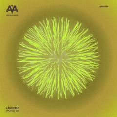 J.Blofeld - Groove Surge [ARKIO26 | Premiere]