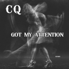 Got My Attention (garage mix)