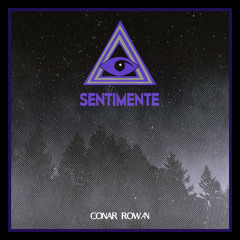 Sentimente (Radio Edit)