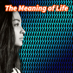 The Meaning of Life