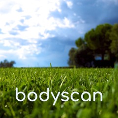 Bodyscan 27 minuten