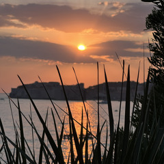 2020 - 09 - 13 17h21m