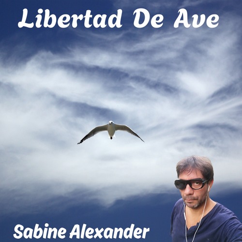 Libertad De Ave