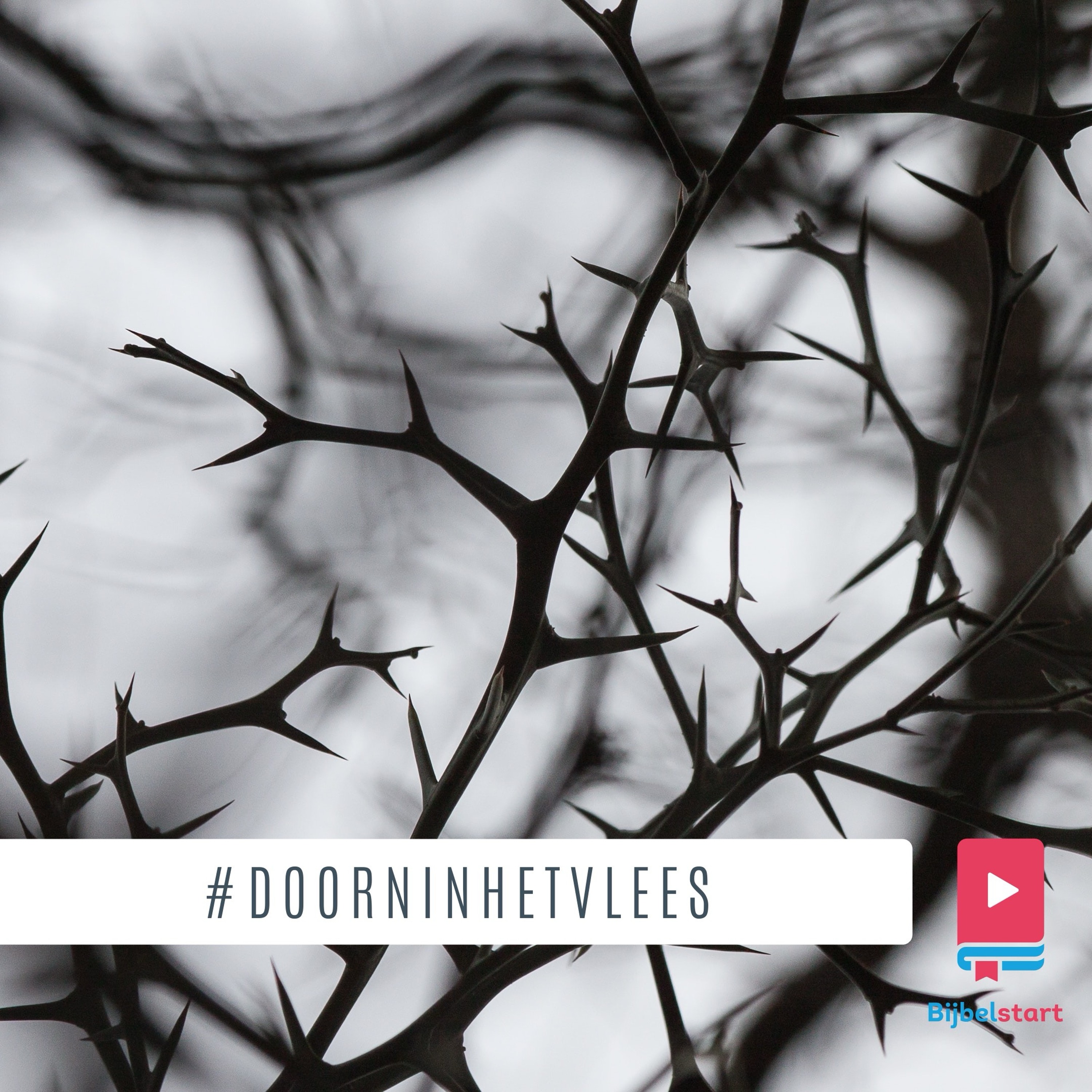 Afl. 137 #doorninhetvlees episode artwork