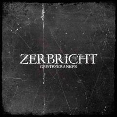 ZERBRICHT [ SCHRANZ REMIX ]