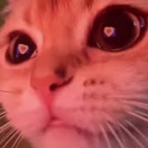 Meowington - Locked Eyes for the First Time (it's f**king magical)