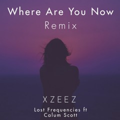 Lost Frequencies Ft Calum Scott - Where Are You Now (XZEEZ Remix)