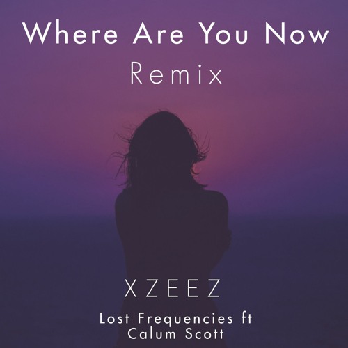 Lost Frequencies & Calum Scott - Where Are You Now