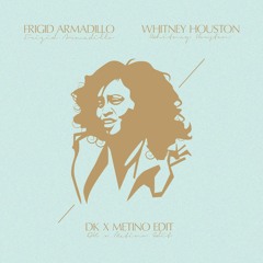 Frigid Armadillo x Whitney Houston - Roam In A Day x It's Not Right But It's Okay (DK x METINO Edit)