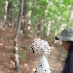 김완선 - 리듬속에 그 춤을 k-pop