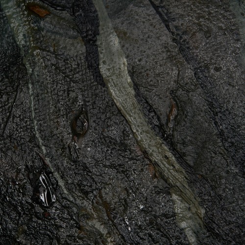 PREMIERE: Friedensreich - A09 [CORAUD021]