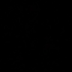 Twiggs x BunnaBcf - Night crawler (Unreleased)