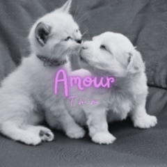 Amour by TMM