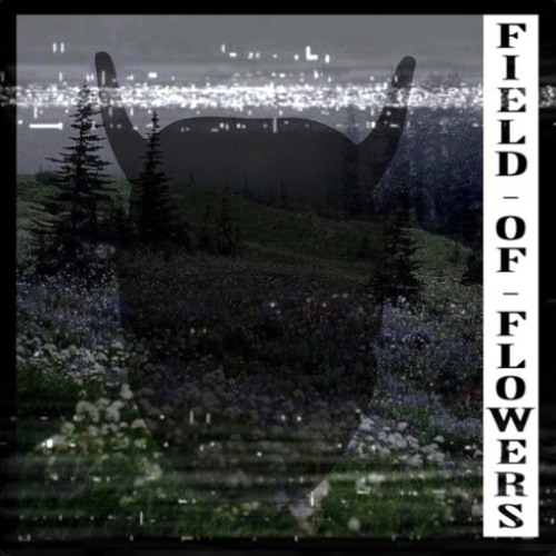 FIELD OF FLOWERS (Reuploaded)