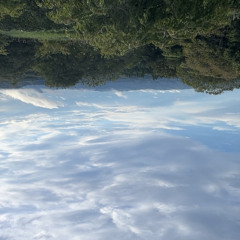 Dimensional Trip mix-240930