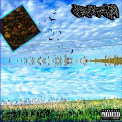 dog piss prod. Biome