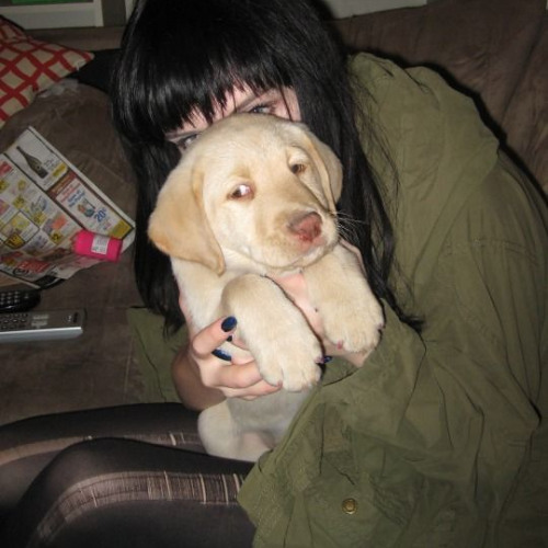 everythings the same prod artfiend