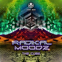 Radikal Moodz - The Cube [EP MiniMix] @ Looney Moon Records