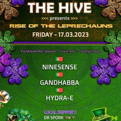 Gandhabba live mix - THE HIVE II: Rise of the Leprechaun (Perth)