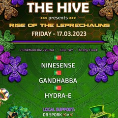 Gandhabba live mix - THE HIVE II: Rise of the Leprechaun (Australia - Perth)