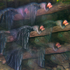 The Golden Age (Beck Cover)