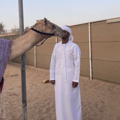 الغزال - عبيد بن مرخان🔥