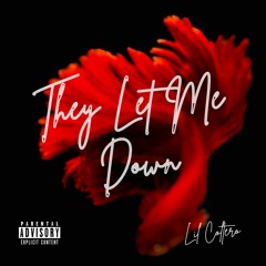 They Let Me Down (Official Audio)