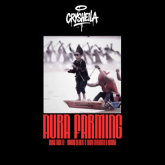 AURA FARMING ( Melly Mike Young Black & Rich ) - CRYSHEILA BKB REMIX