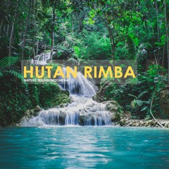 Musik Relaksasi - Suara Alam (Hutan Rimba) Nature Sound Indonesia