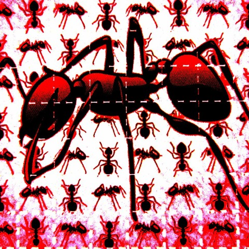"Conspiracy Of The Acid Ants"