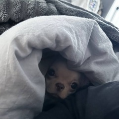 семьсот семь - я запомню твое имя