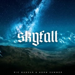 Ric Mansur & Norm Summer - Skyfall (Original Mix)