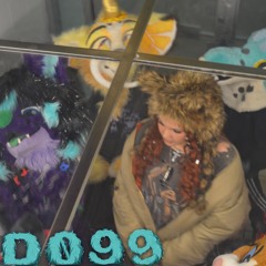 d099 ft liplock