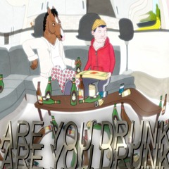 are you drunk ?