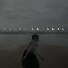 Seismic