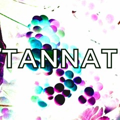 #1 DJ TANNAT / LOFI HOUSE