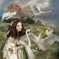 Swans of the Mists (A Celtic Lament for the Children of Lir)