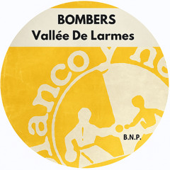 Vallée De Larmes (Boy named Phil remix)