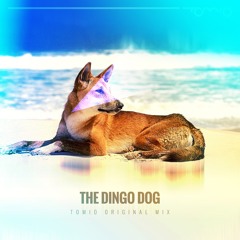 Tomio - The Dingo Dog - Original Mix