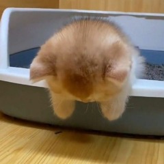 #foryou (mandem + dimpleb)