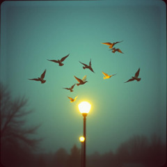 Paper Birds (feat. Nostalgia Boy)