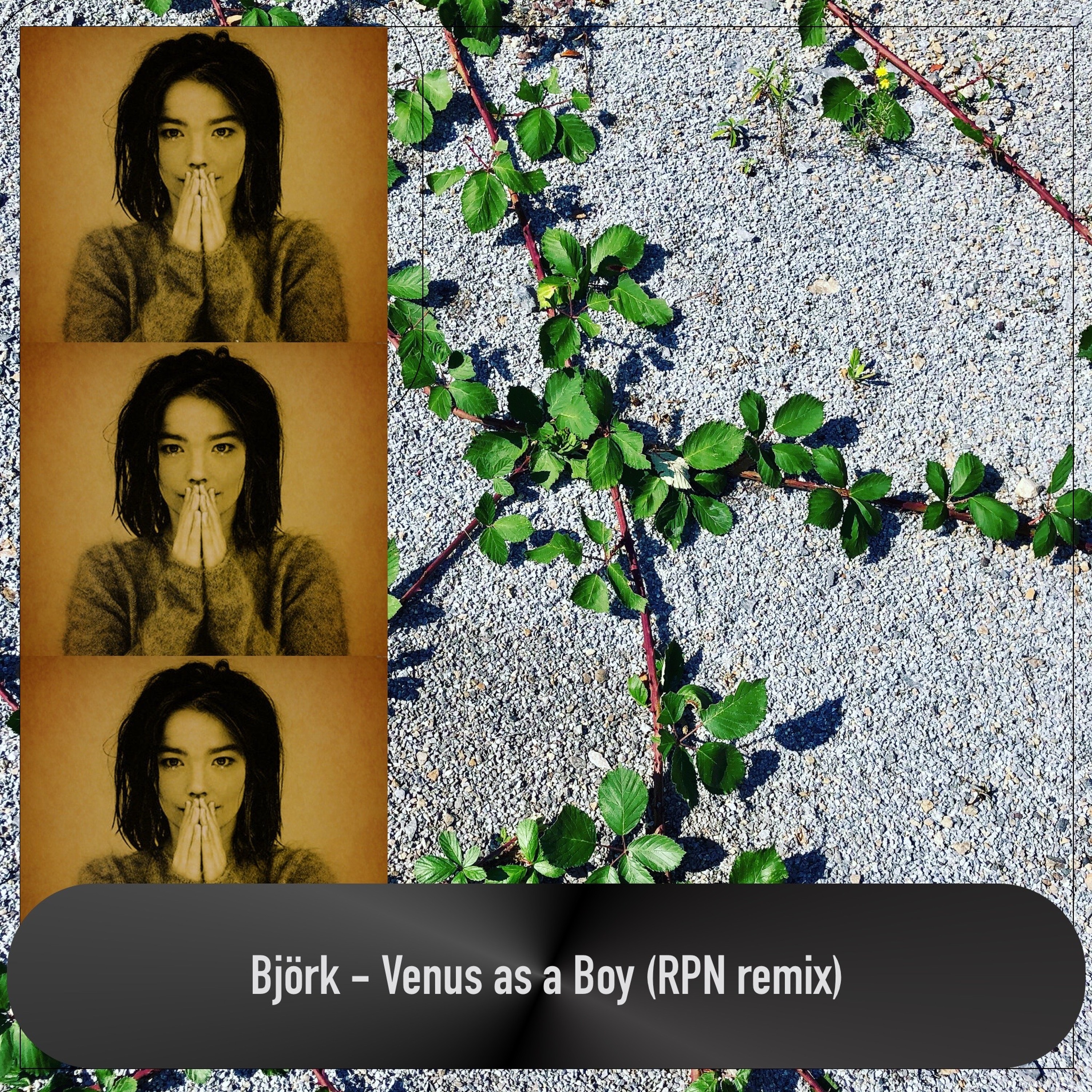 RPN