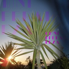 'Blossom Baby Neutrons ' live sessions