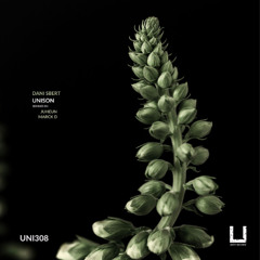 Dani Sbert - Unison (Marck D Remix) [UNITY RECORDS]