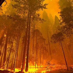 World On Fire - Radio Edit