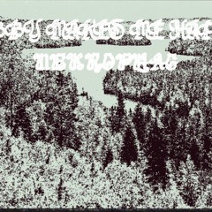 Abby Makes Me Happy/Nekrophag Split Demo