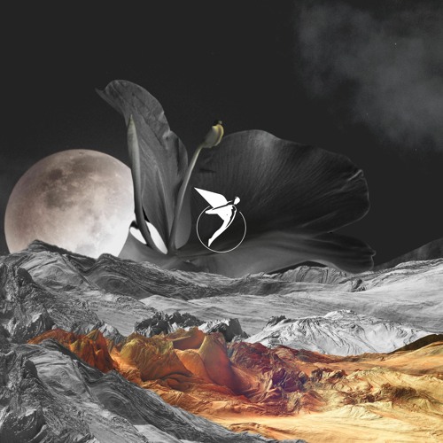 KASIA, Q.U.A.K.E, Vincenzo Sarti - Introspection [Astral]